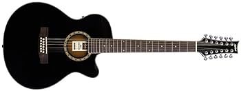 Amazon.com: Ashton SL29/12CEQ 12-String Electro-Acoustic